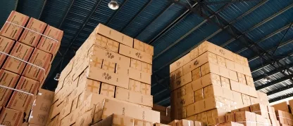 Delicate items moving